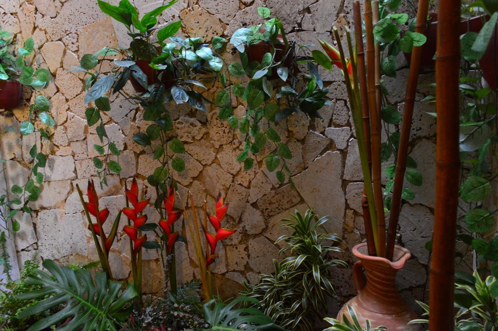 Hotel Torre Del Reloj Cartagena ภายนอก รูปภาพ